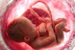 وضعیت قرار گیری کودک در 8 ماهگی